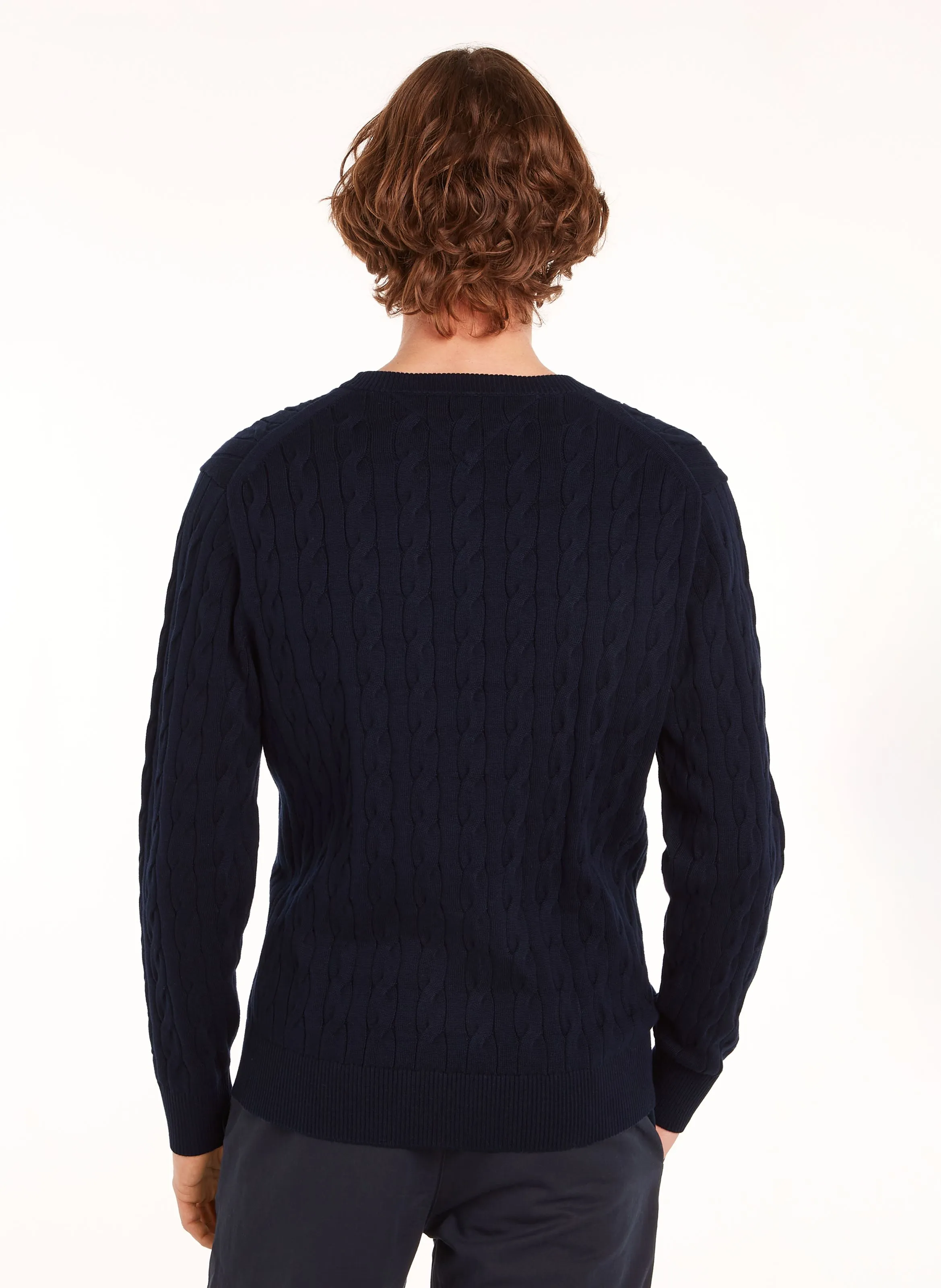  TOMMY HILFIGER   Maglione dritto scollo tondo in cotone biologico | Blu